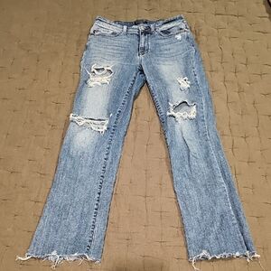 Judy Blue Distressed Straight Jeans